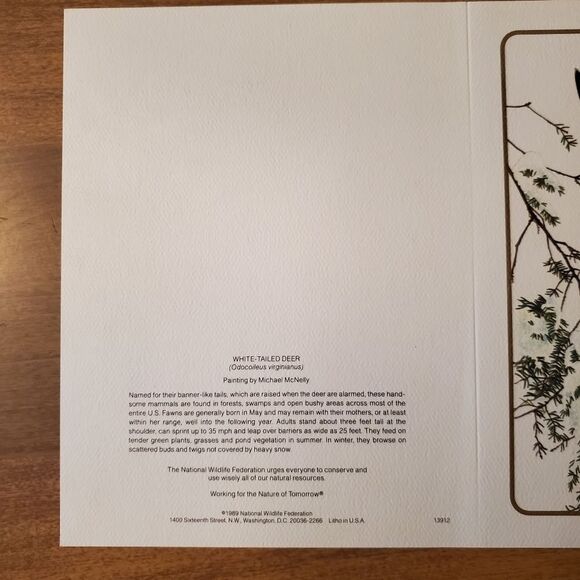 National Wildlife Federation Holiday Cards Christmas WHITE-TAILED DEER Lot Of 10 - Picture 2 of 5